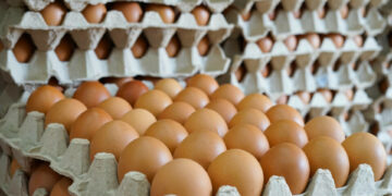 alerta-alimentara-oua
