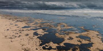 dezastru-ecologic-in-marea-neagra