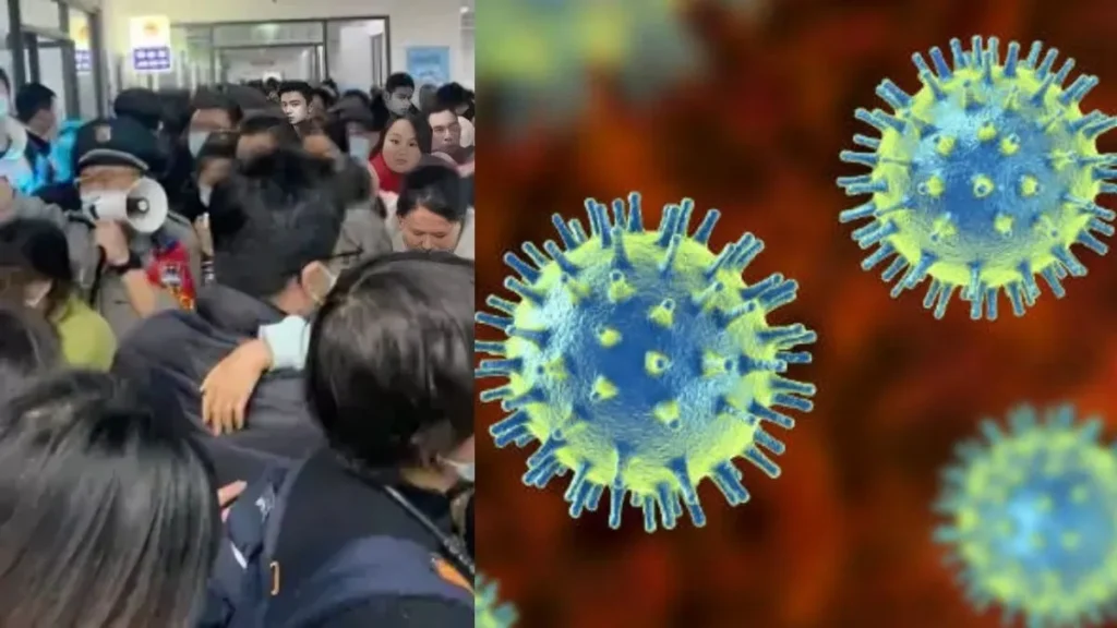 hmpv-virus