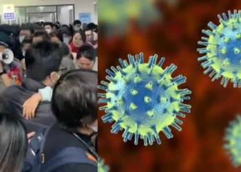 hmpv-virus
