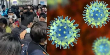 hmpv-virus