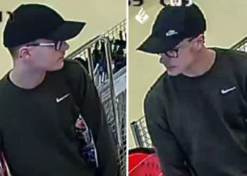 suspect-tezaur-olanda