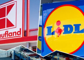 Kaufland-si-Lidl