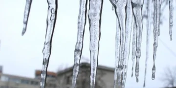 femeie-moarta-Ilfov