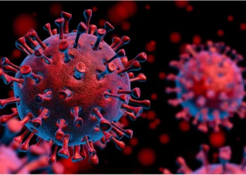 coronavirus