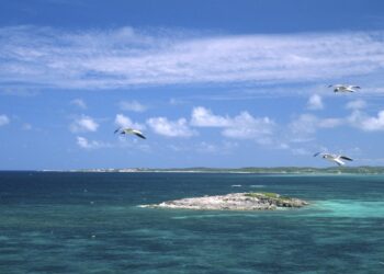 insula-Caraibe