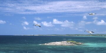insula-Caraibe