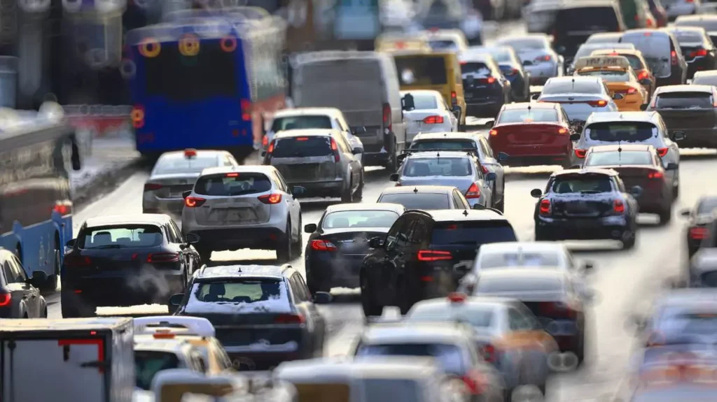 ecotaxa-Auto