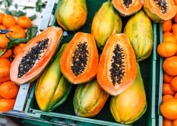 papaya