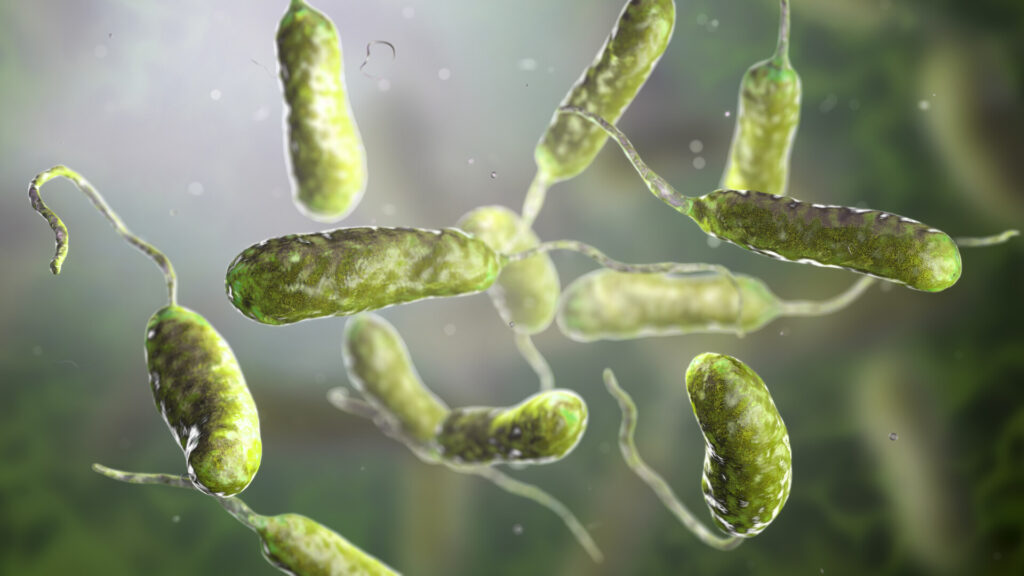 bacterie-Marea-Neagra