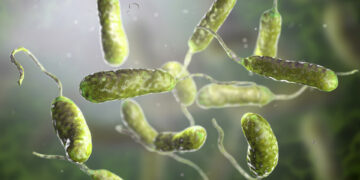 bacterie-Marea-Neagra