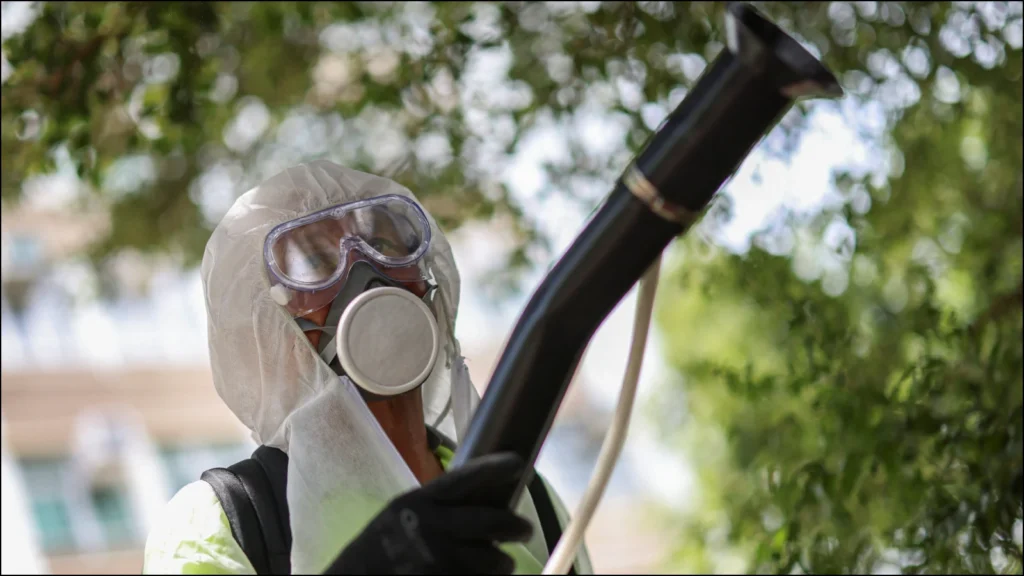 china-chikungunya