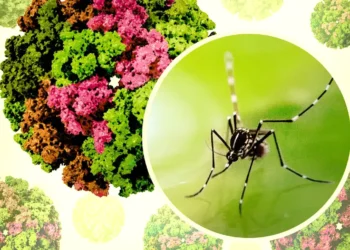 virus-tantari-china