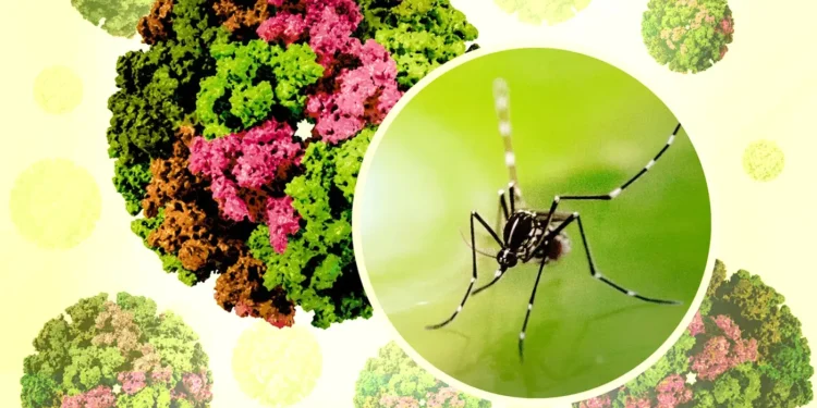 virus-tantari-china
