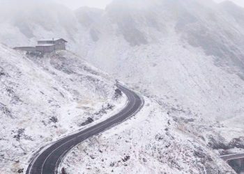 transalpina-viscol