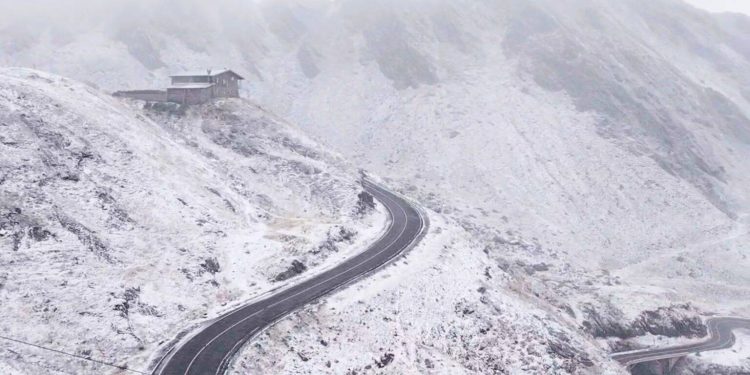 transalpina-viscol