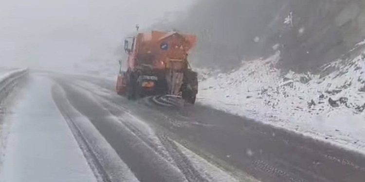 transalpina_DRDP-Craiova