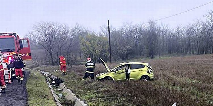 acc-Dolj-Rojiste