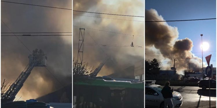 incendiu-urias-la-un-depozit-din-sectorul-6-al-capitalei