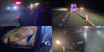 accident-Poiana-Mare-Dolj