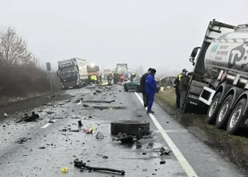 accident-timis-
