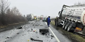accident-timis-