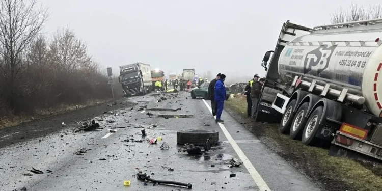 accident-timis-