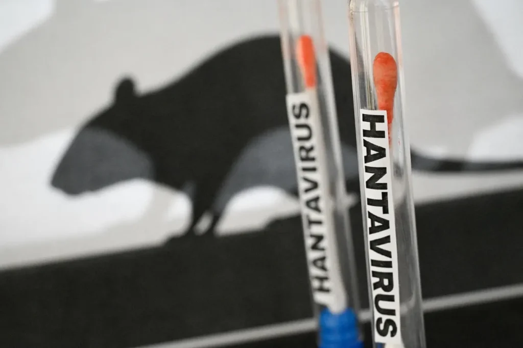 OMS-hantavirus-