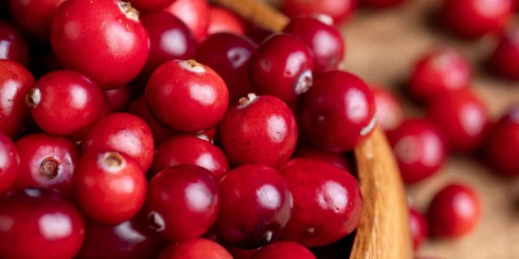 Suc-de-merisoare-beneficii-
