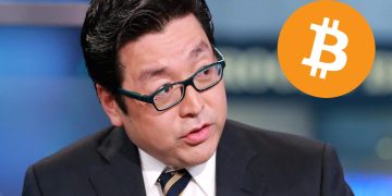 Tom Lee