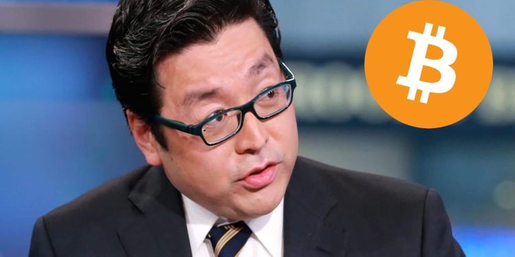 Tom Lee