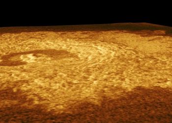 Venus
