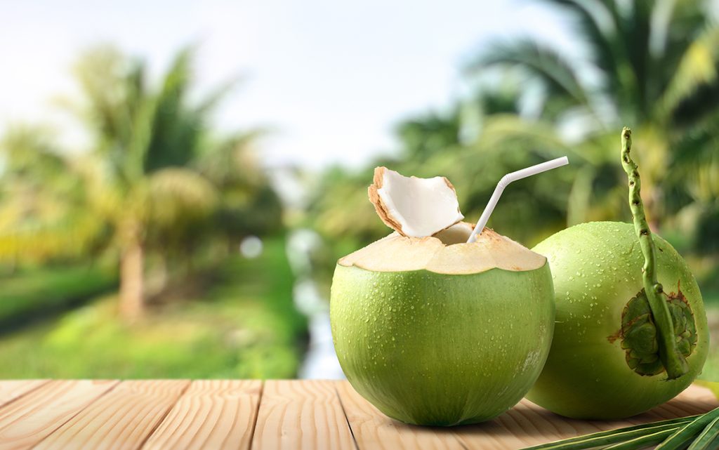 apa-de-cocos