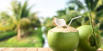 apa-de-cocos