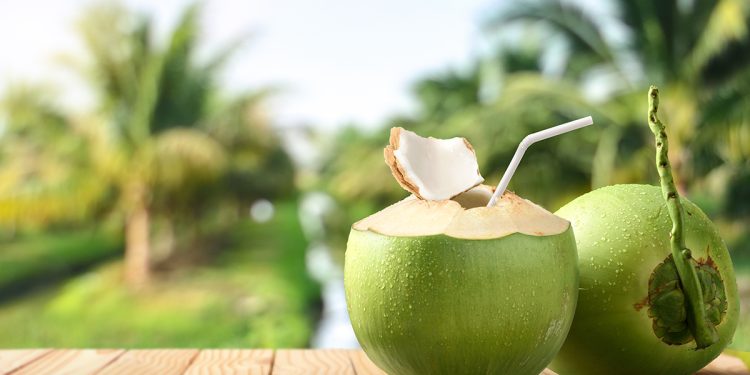 apa-de-cocos