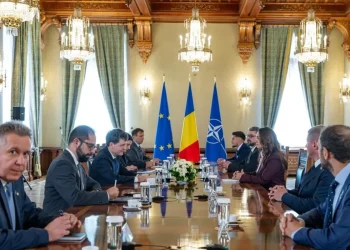 consultari-pot-partidul-oamenilor-tineri