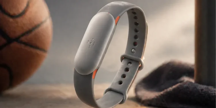google-fitbit-air