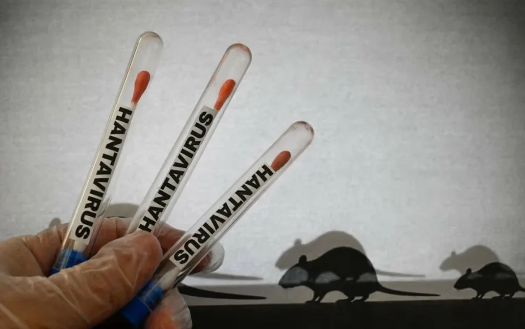hantavirus