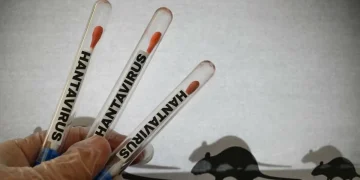 hantavirus