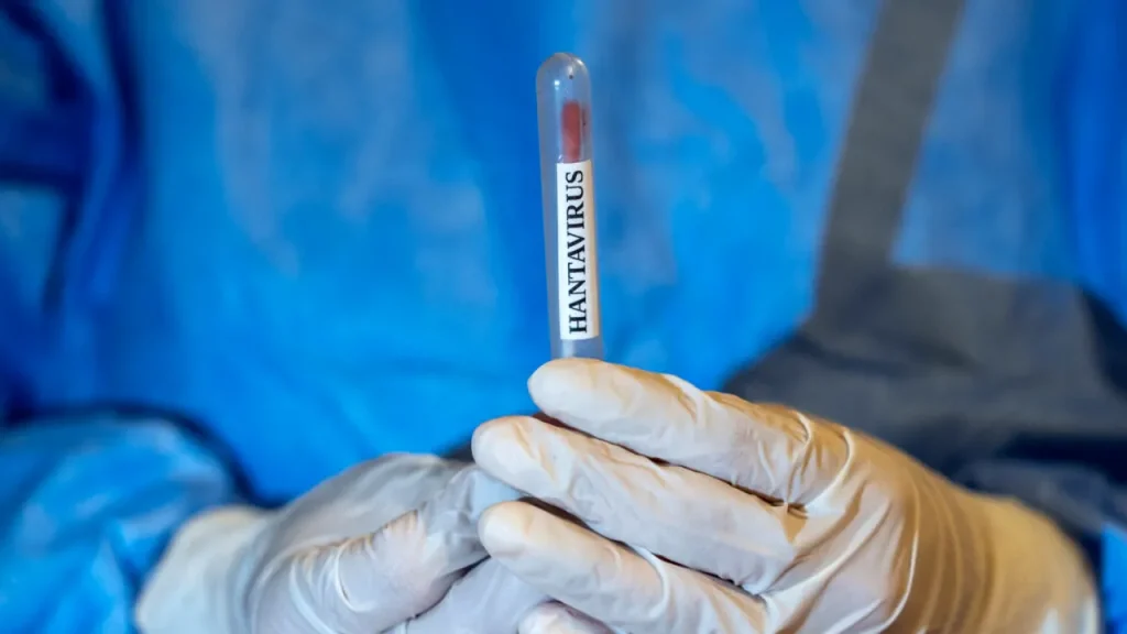 hantavirus-Spania