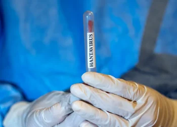 hantavirus-Spania