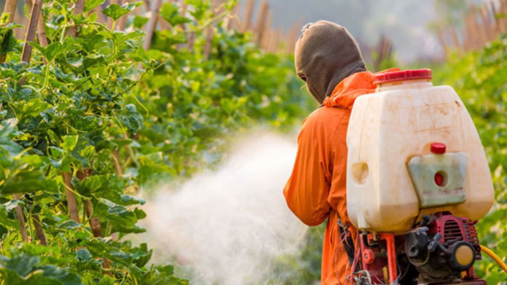 pesticide
