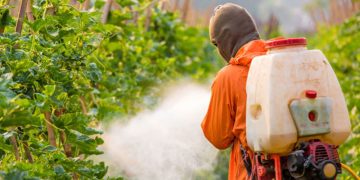 pesticide