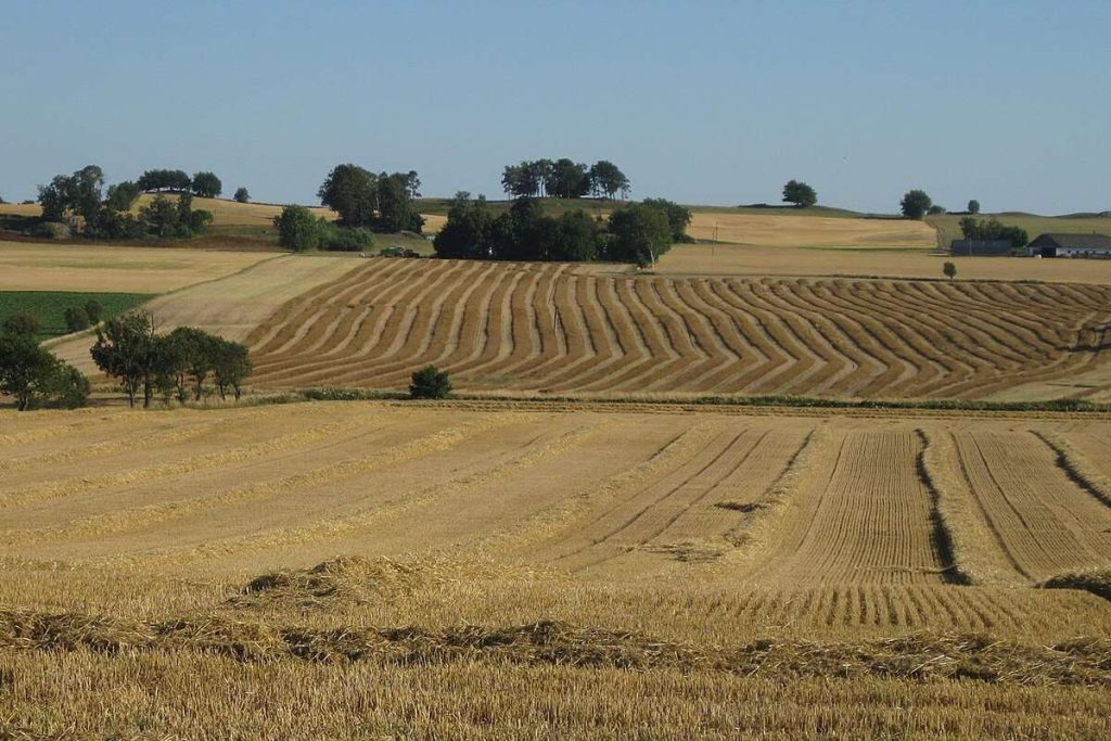 terenuri_agricole