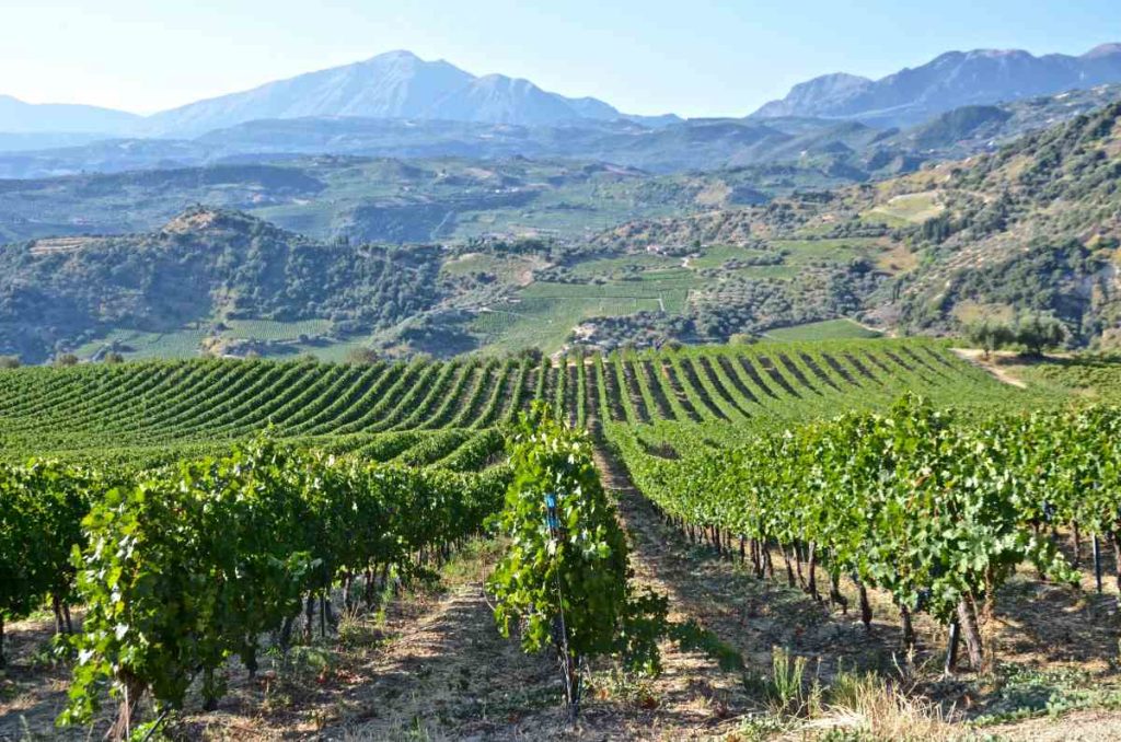 vin Grecia
