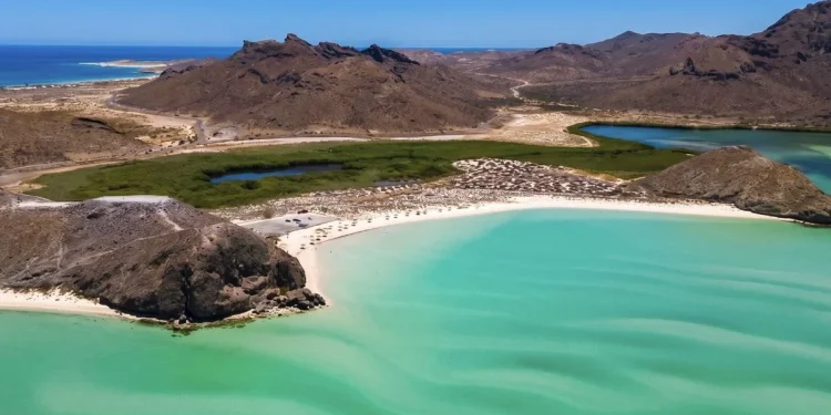 Mexic-Corona-Top
