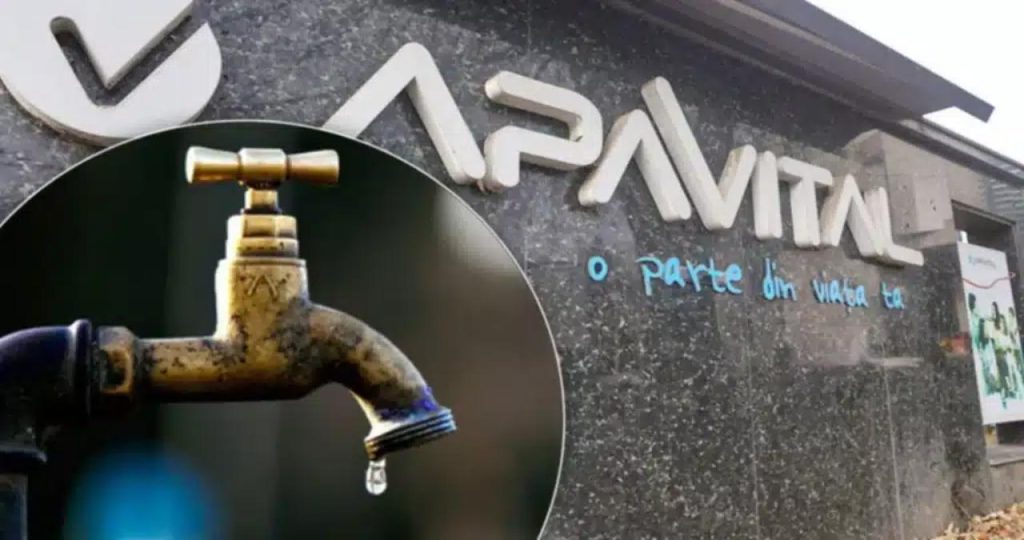 apavital