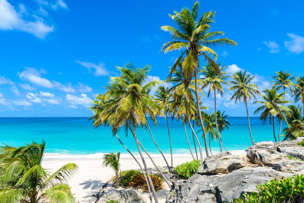 caraibe