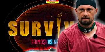 gabi-tamas-survivor