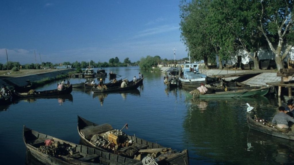 pescari-comerciali